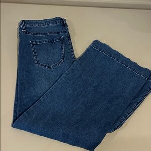 Time and Tru Classic Blue Flare Jeans